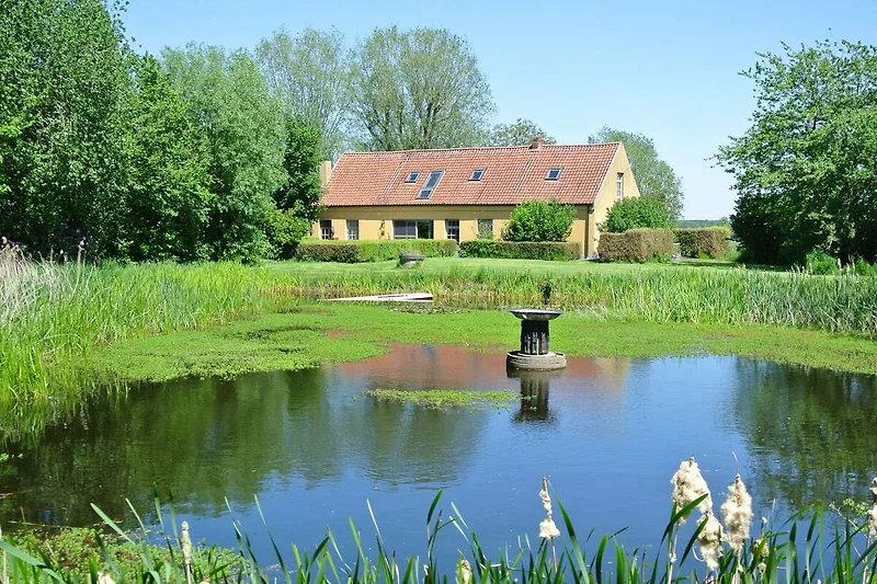 Außenseite Ferienhaus (Sommer)
