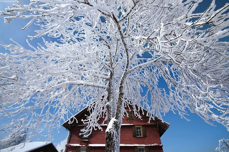 Umgebung (Winter) (1-5 km)
