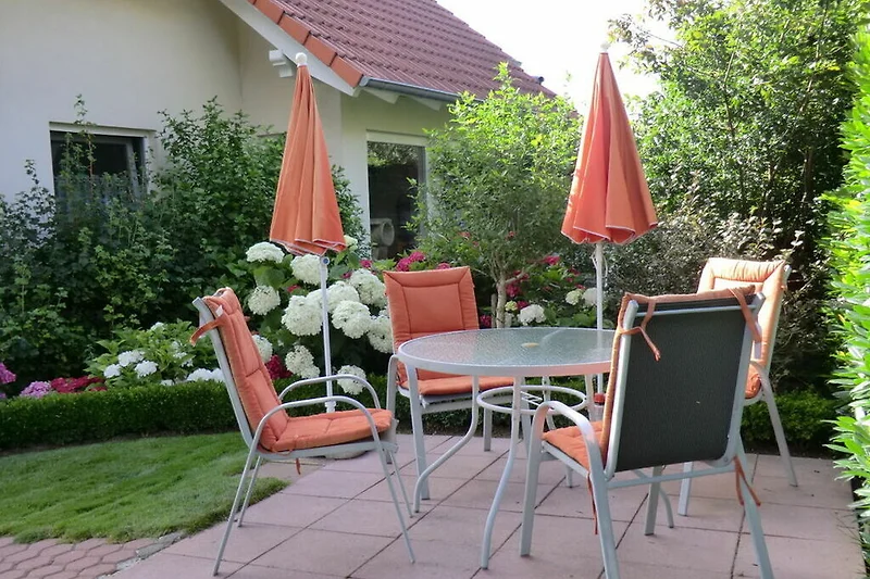 Garten (Sommer)