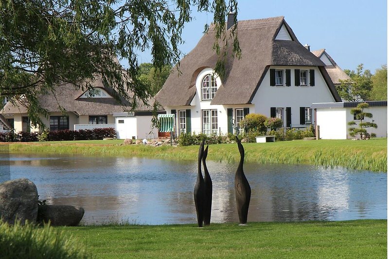 Außenseite Ferienhaus (Sommer)