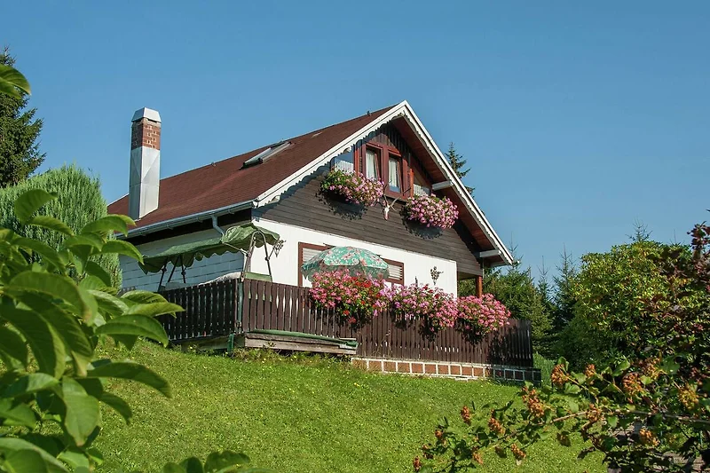 Außenseite Ferienhaus (Sommer)