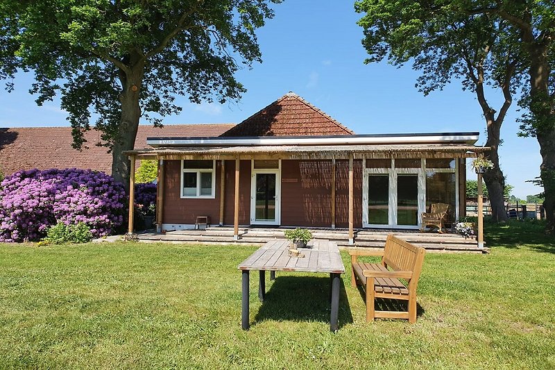 Exterieur vakantiehuis (zomer)