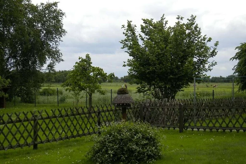 Tuin (zomer)