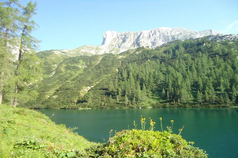 In der Region (Sommer) (>5 km)