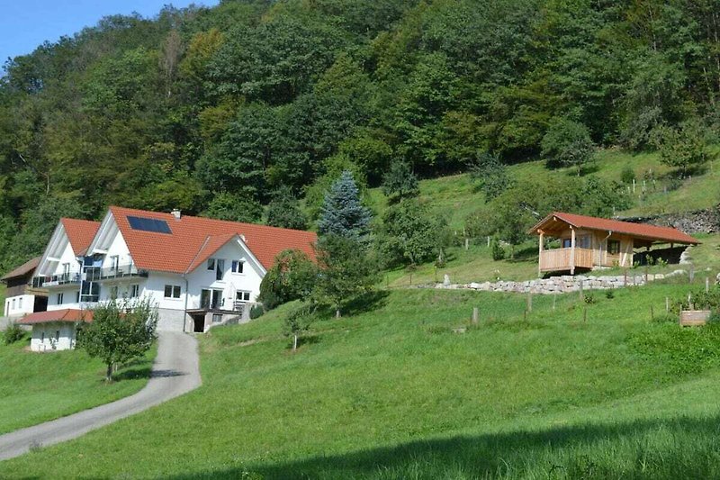 Exterieur vakantiehuis (zomer)