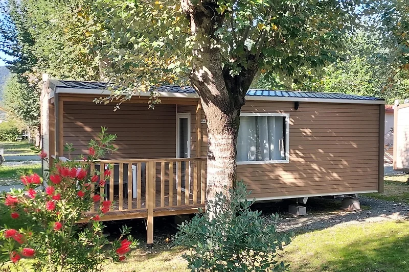 Außenseite Ferienhaus (Sommer)