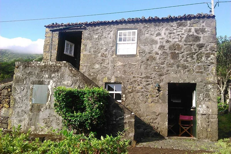 Außenseite Ferienhaus (Sommer)