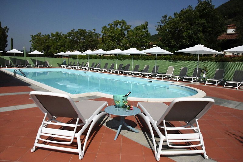 Schwimmbad des Ferienhauses