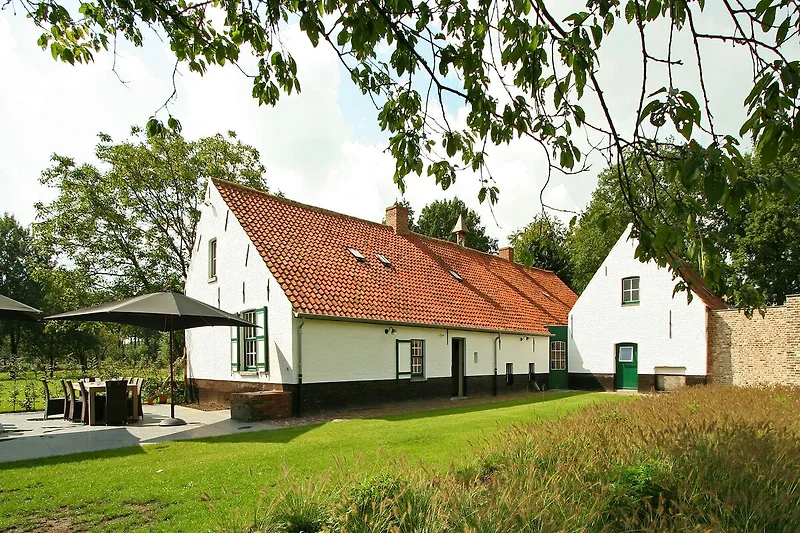 Tuin (zomer)