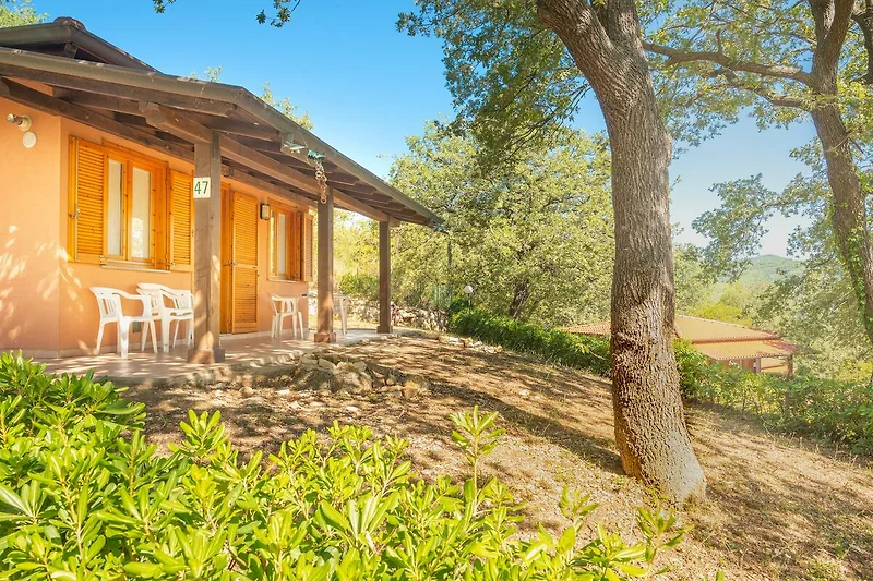 Esterno casa vacanze (estate)