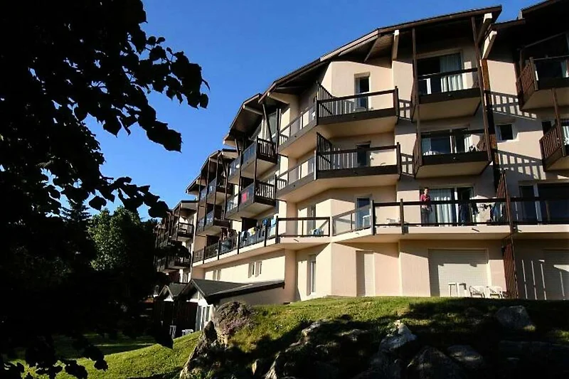 Außenseite Ferienhaus (Sommer)