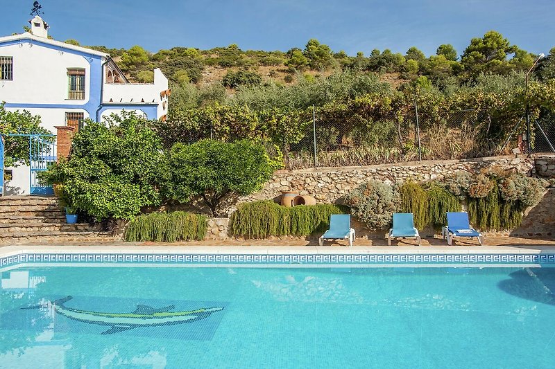 Schwimmbad des Ferienhauses