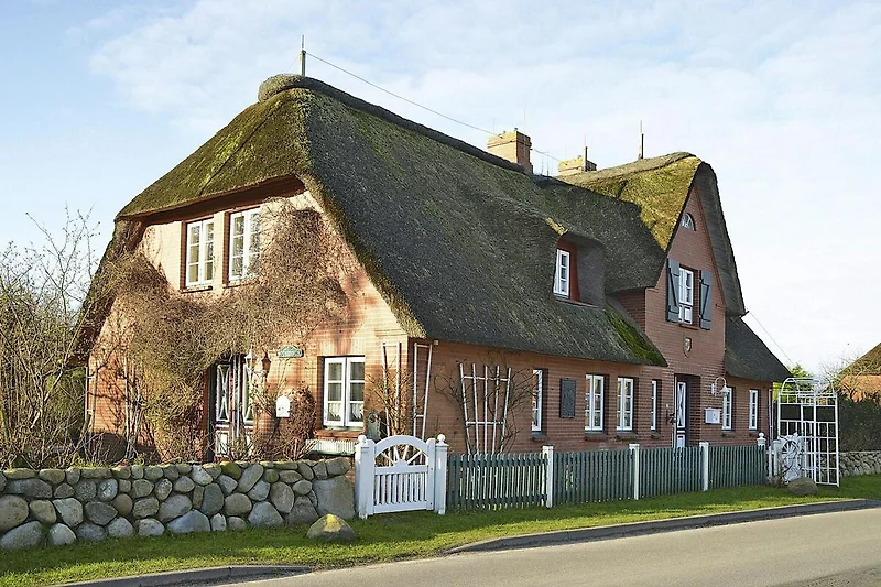 Außenseite Ferienhaus (Sommer)
