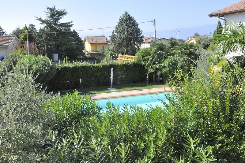 Schwimmbad des Ferienhauses