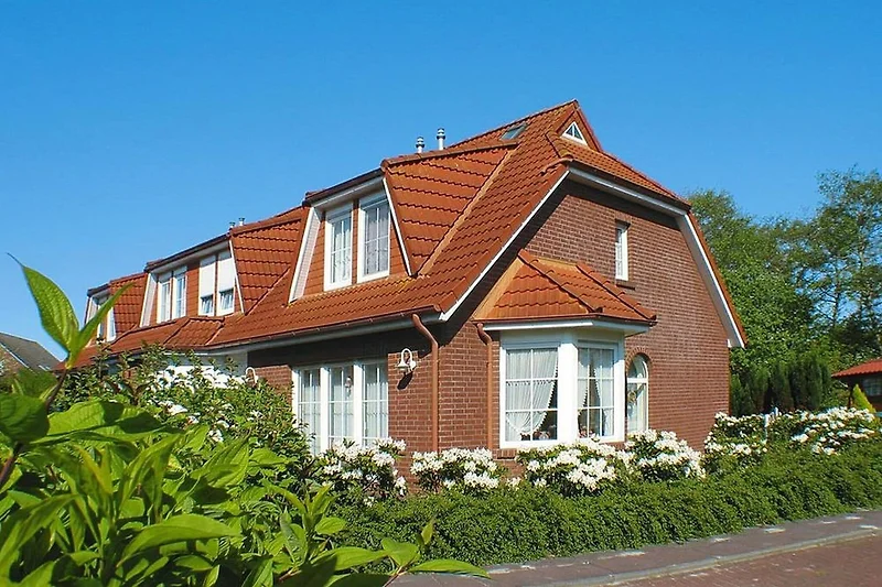 Außenseite Ferienhaus (Sommer)
