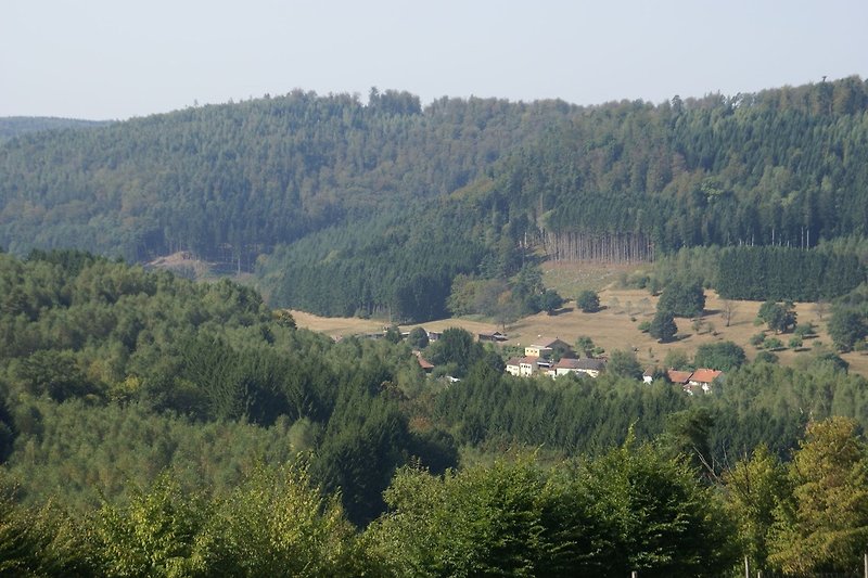 Dintorni (estate) (1-5 km)
