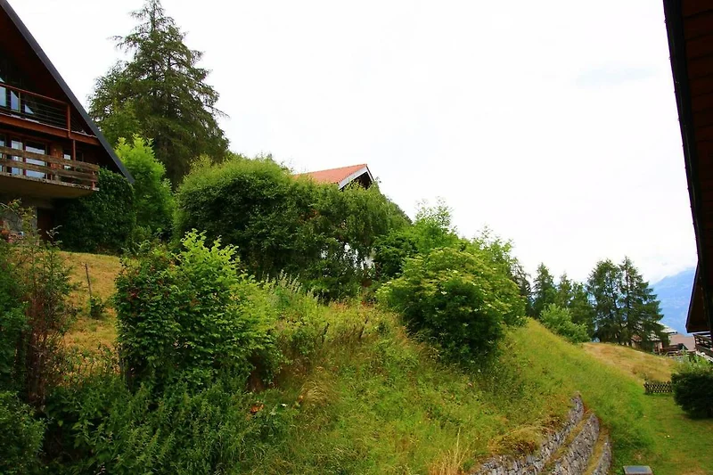 Direkte Umgebung (Sommer) (<1 km)
