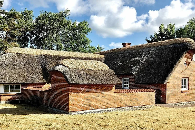 Esterno
