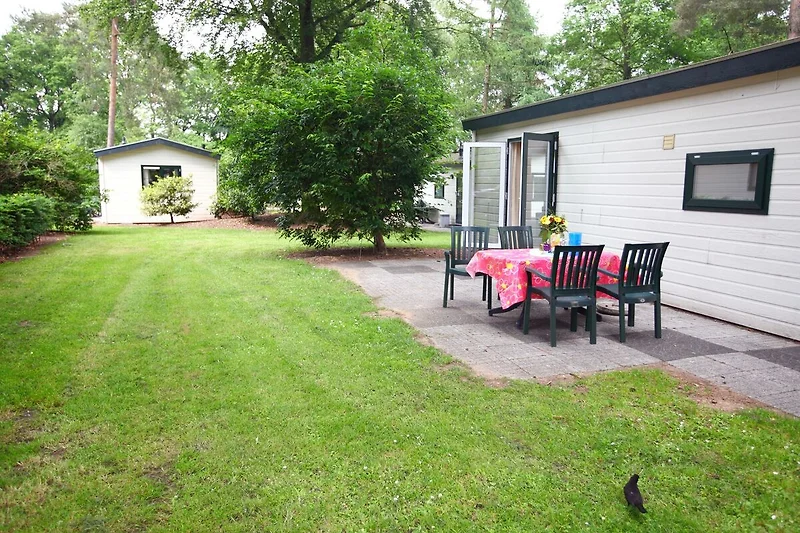 Exterieur vakantiehuis (zomer)