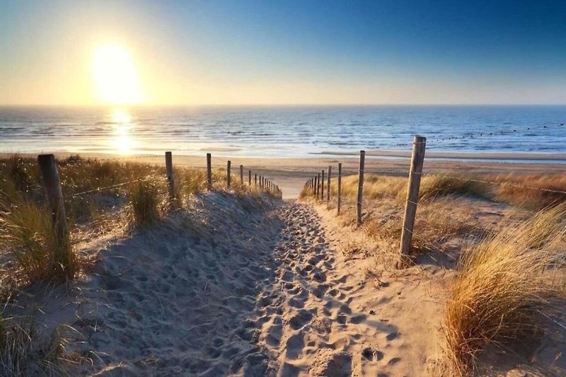 In de regio (zomer) (>5 km)