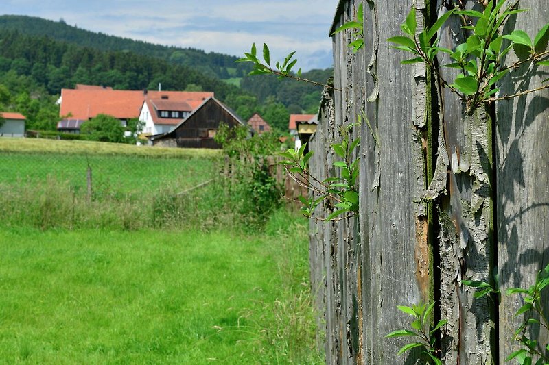 Ambiente / Nahaufnahme