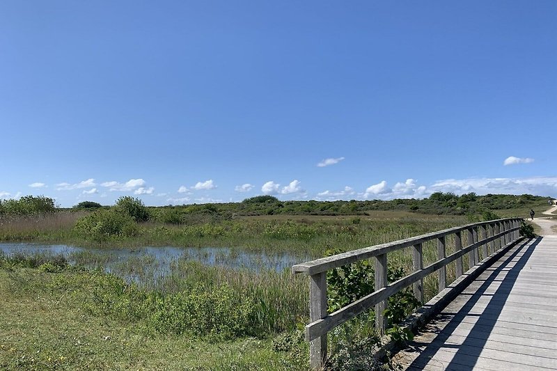 Directe omgeving (zomer) (<1 km)