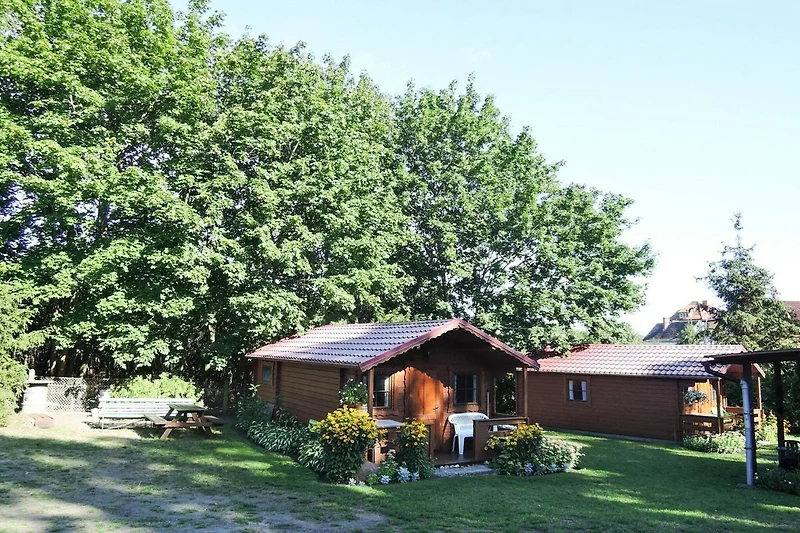 Exterieur vakantiehuis (zomer)