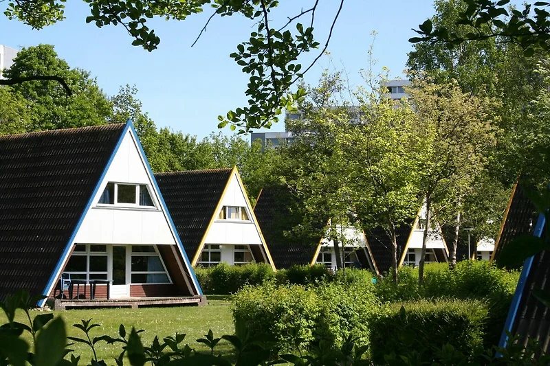 Außenseite Ferienhaus (Sommer)