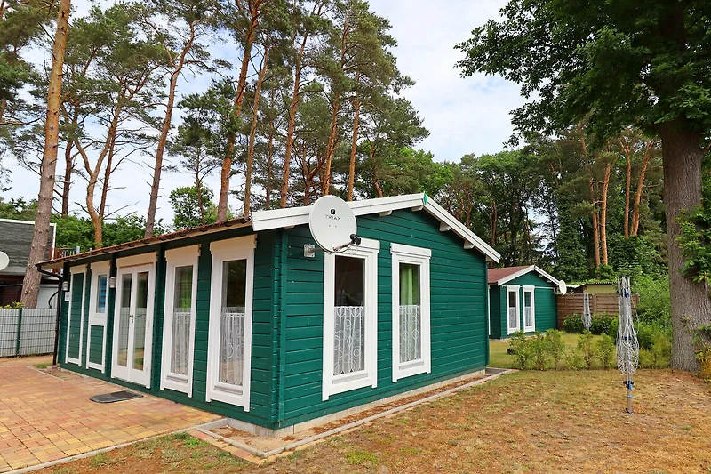 Exterieur vakantiehuis (zomer)