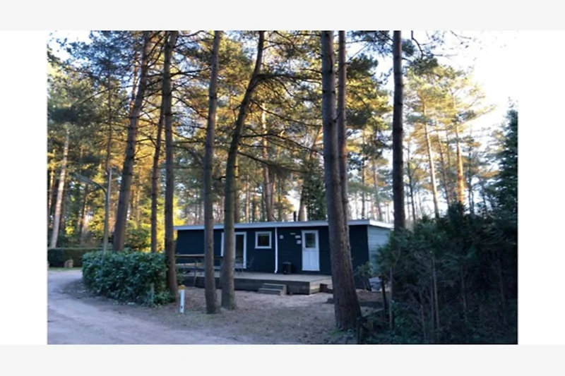 Esterno casa vacanze (estate)