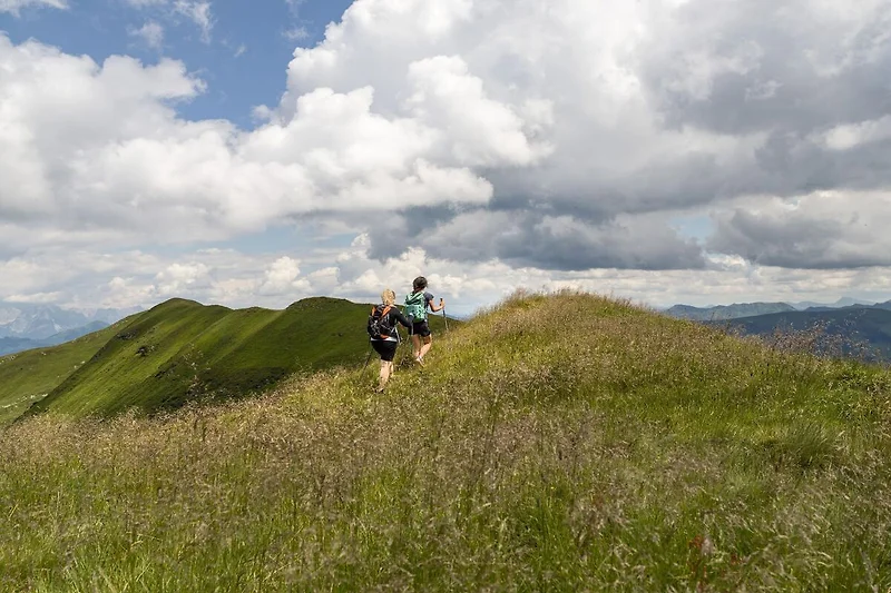 Omgeving (zomer) (1-5 km)