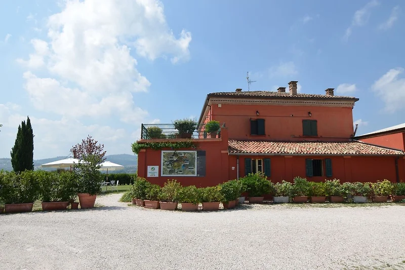 Außenseite Ferienhaus (Sommer)