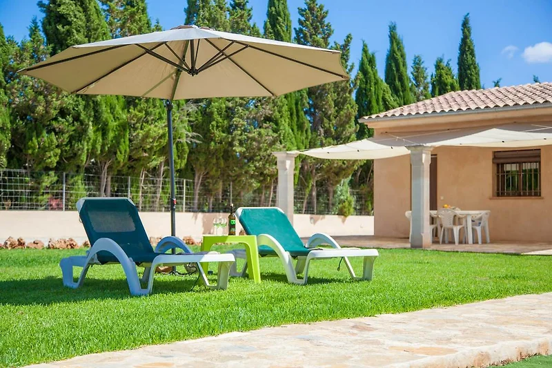 Giardino (estate)