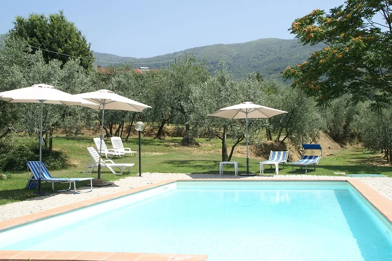 Schwimmbad des Ferienhauses