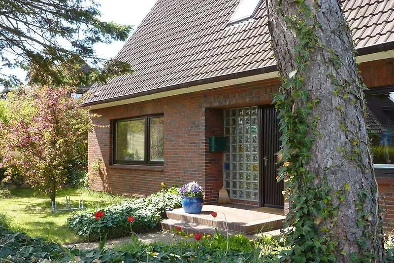 Exterieur vakantiehuis (zomer)