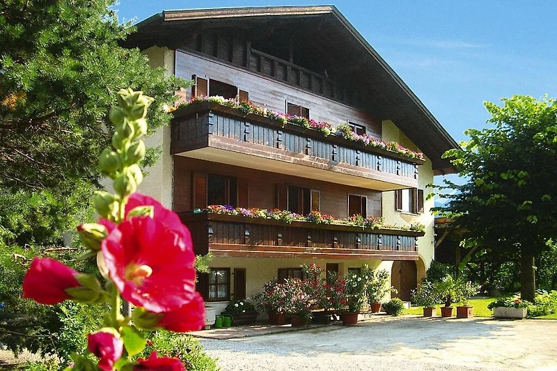 Esterno casa vacanze (estate)