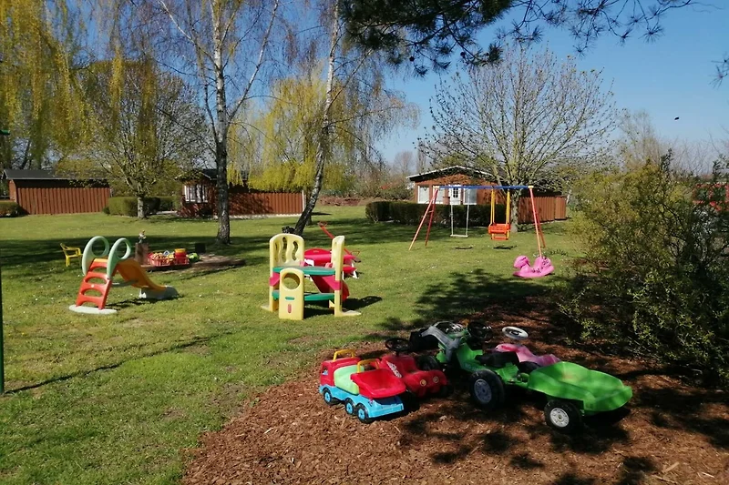 Garten (Sommer)