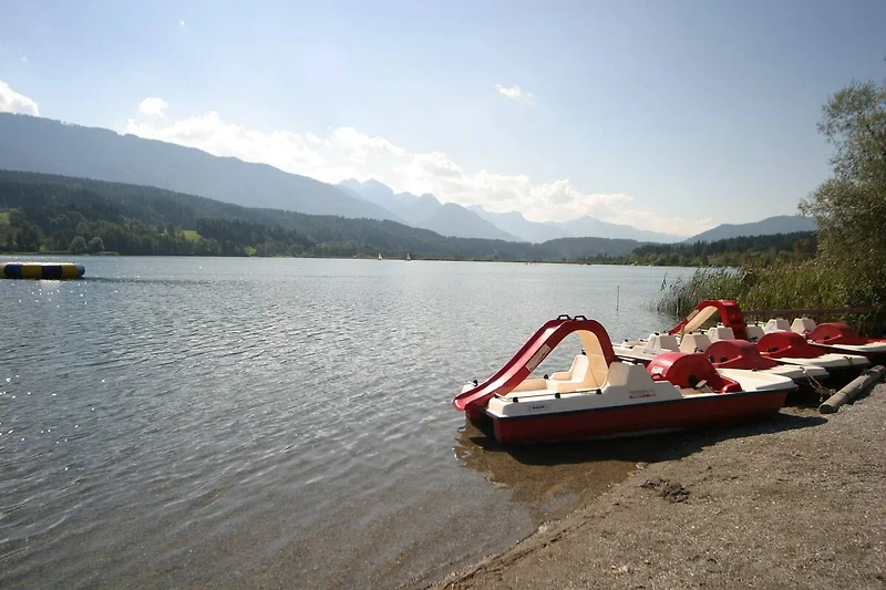 Directe omgeving (zomer) (<1 km)