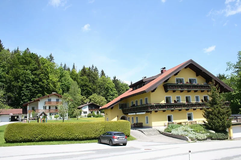 Widok na dom (lato)