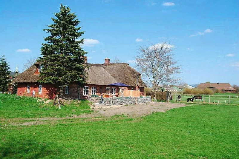 Außenseite Ferienhaus (Sommer)