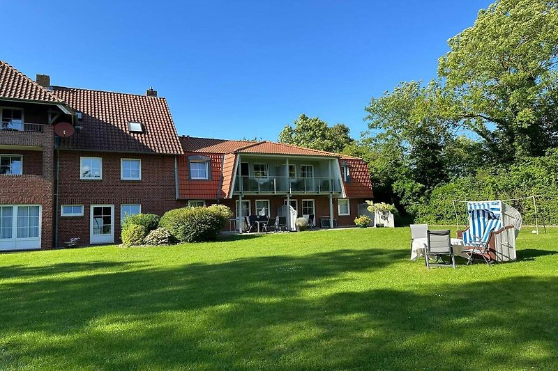 Garten (Sommer)