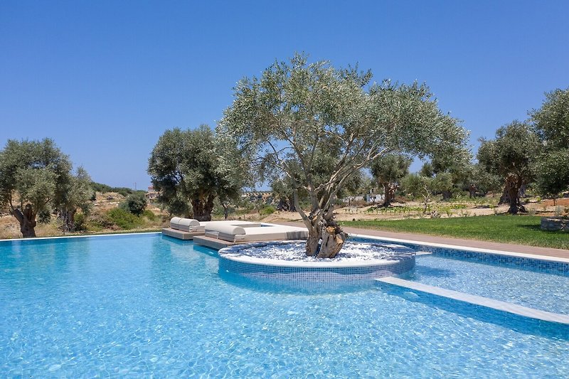 Schwimmbad des Ferienhauses