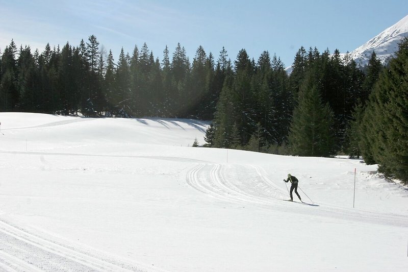 Omgeving (winter) (1-5 km)