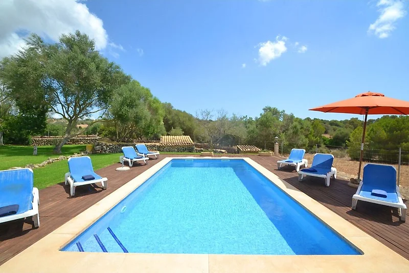 Schwimmbad des Ferienhauses