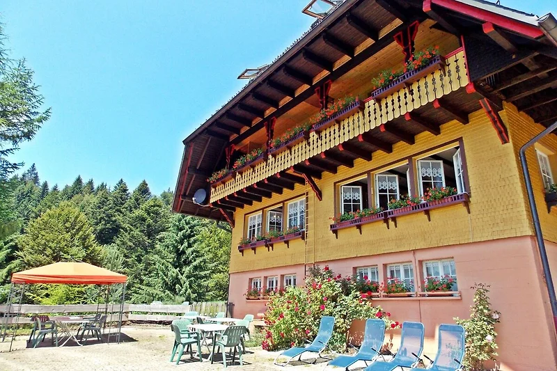 Esterno casa vacanze (estate)