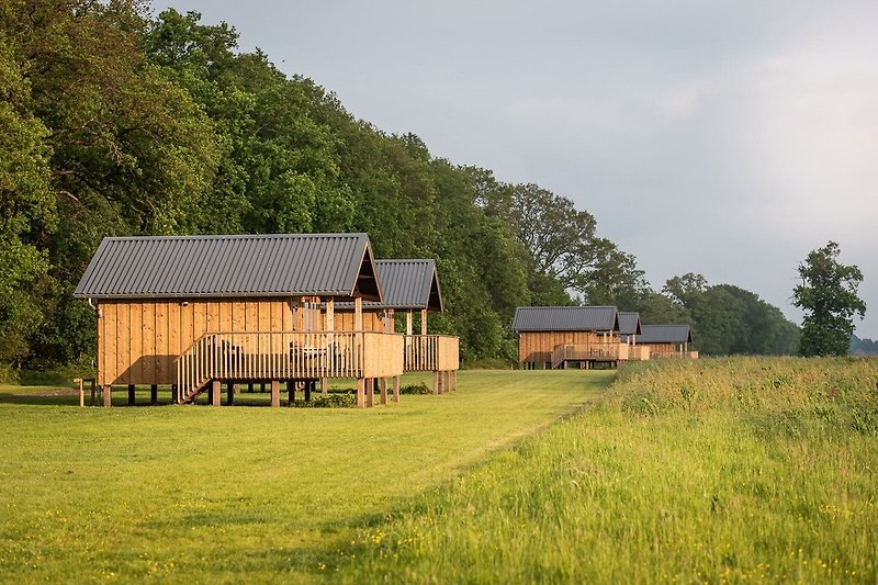 Exterieur vakantiehuis (zomer)