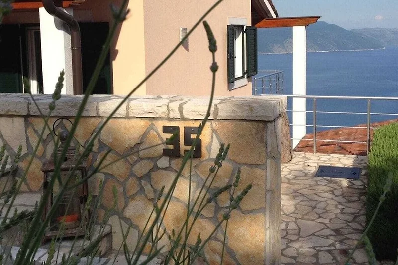 Exterieur vakantiehuis (zomer)