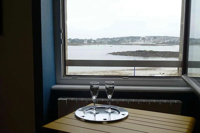 Ambiente / Nahaufnahme