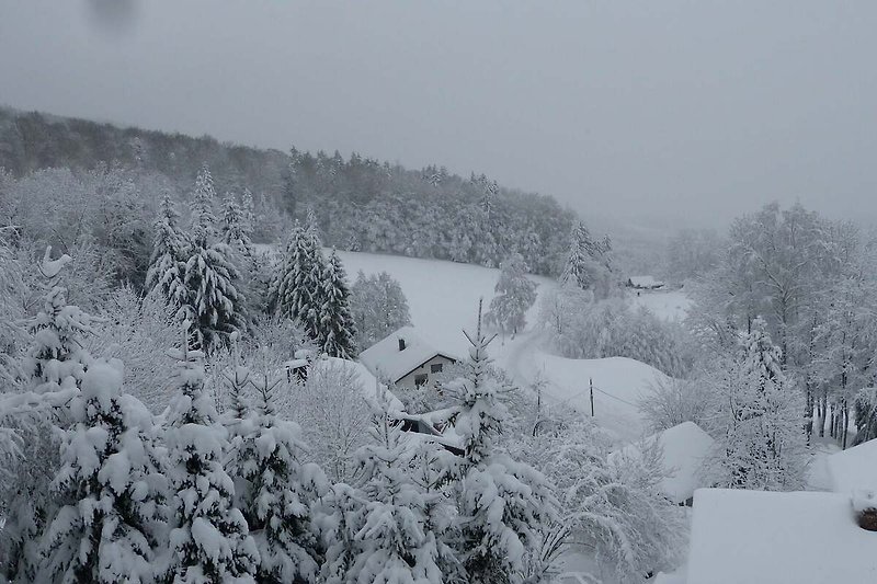 Panorama dalla casa  (inverno)