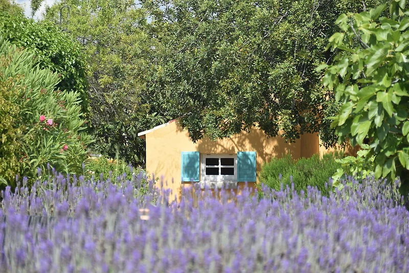 Exterieur vakantiehuis (zomer)